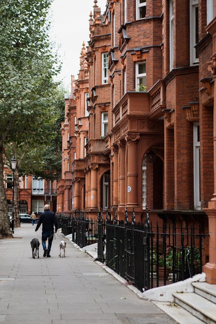 A person walking along a paved sidewalk in front of a row of Victorian-style red brick residential buildings with ornate architectural details, including decorative columns and bay windows. The individual is dressed in dark clothing and is accompanied by two dogs, one black and one white, both on leashes. The street is lined with black metal railings and features a lamppost near the curb. There are trees with green foliage along the sidewalk, and in the background, additional vehicles and buildings are visible. The scene is illuminated by natural daylight, creating a typical urban environment that may relate to private waste collection or on-site rubbish management services in the area, though no rubbish or waste containers are present in the image itself.