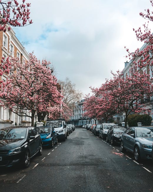 A row of white terraced residential buildings with black wrought iron railings along the sidewalk in front. The railings, featuring pointed finials, surround small garden areas and staircases leading down to basement entrances. One of the gardens contains leafy green plants with pink flowers, adding a touch of color. The pavement consists of rectangular stone slabs, some showing slight weathering. A blue bicycle is parked against one of the railings in the foreground. The scene is captured during daylight hours, with natural lighting highlighting the textures of the iron fence, stone pavement, and plant foliage. The environment suggests an urban setting where residents may consider private rubbish disposal options, with the iron railings serving as boundary markers that are consistent with the aesthetic of London's residential areas. The overall scene emphasizes traditional architecture and front garden spaces, aligning naturally with the context of local rubbish management and waste removal services provided by companies like wastecollectionsouthkensington.co.uk. No visible rubbish is present in the image, but the scene’s layout suggests areas where waste collection might be coordinated in accordance with local regulations.