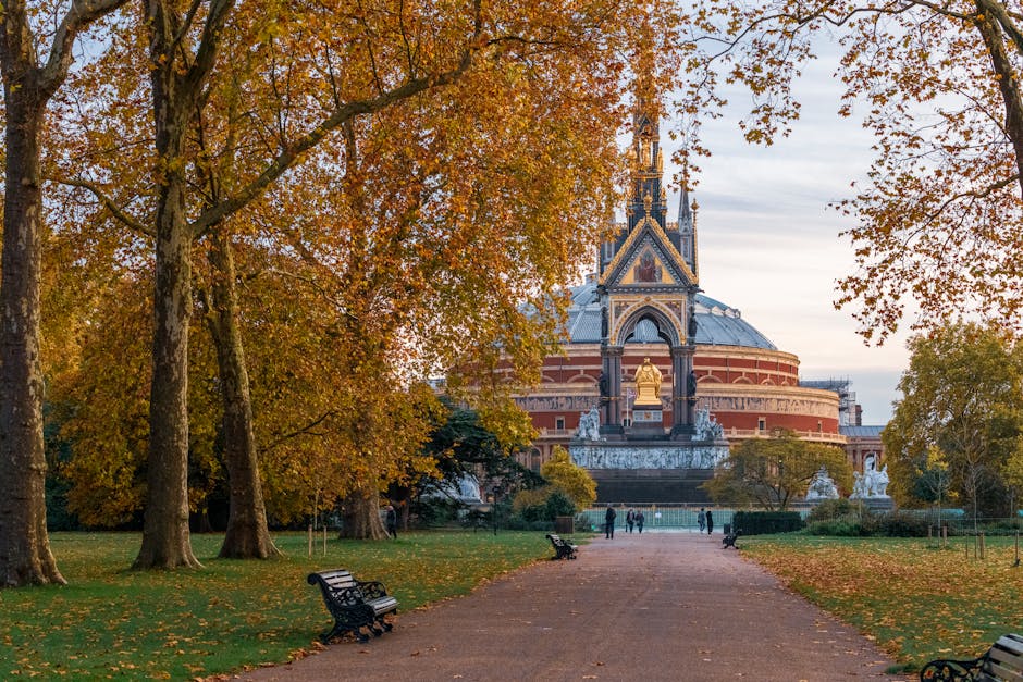 A wide, paved pathway in a park during autumn, lined with mature trees on both sides displaying orange, yellow, and brown foliage. Several benches are positioned along the pathway, some facing towards the camera, with fallen leaves scattered across the grass and pavement. In the background, the Royal Albert Hall, a large circular concert hall with a distinctive domed roof and ornate architectural details, is visible. The building's exterior features a combination of red brick and decorative stonework, with statues and sculptures adorning the façade. The sky above is partly cloudy with soft light illuminating the scene, emphasizing the warm tones of the autumn leaves and the historic structure. The environment appears calm, with a few people walking or sitting on benches, suggesting a peaceful outdoor setting suitable for leisurely visits or quiet contemplation, and reflecting a typical scene where alternative waste handling or cleaning might be part of park maintenance or site clearance by waste collection services like wastecollectionsouthkensington.co.uk.