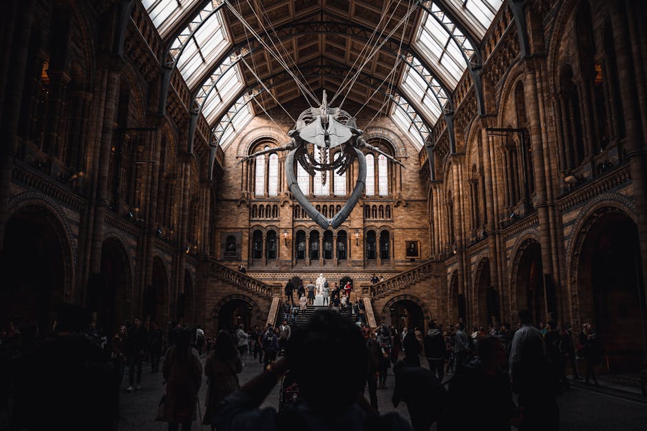Inside the spacious hall of the V and A Museum, the high glass ceiling allows natural light to illuminate the intricate brickwork and decorative architectural details on the walls. Dominating the central area is a large whale skeleton suspended from the ceiling, with a white skull and rib cage contrasting against the darker hues of the bones and the brick behind it. The skeleton is supported by cables that are barely visible, giving it a floating appearance. Below, a diverse group of visitors, some in casual attire and others in more formal clothing, are gathered at the foot of the staircase, observing the exhibit and taking photos. The staircase itself, made of dark wood or stone, leads to an upper gallery, which is partially visible in the background, along with arched windows that diffuse soft, natural light throughout the interior. The overall environment combines historic architectural elements with modern exhibition displays, reflecting the museum’s blend of traditional design and contemporary exhibit presentation, aligning subtly with the theme of curated indoor spaces suitable for private or independent collection activities related to visitors’ engagement with the site.